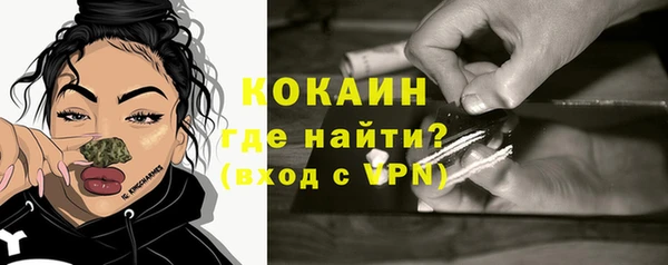 шишки Беломорск