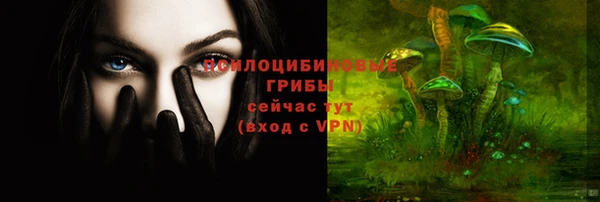 круглые Белокуриха
