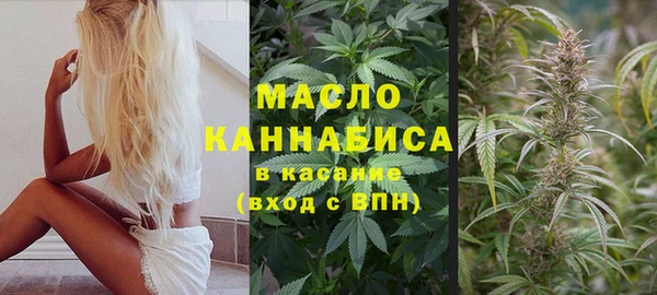 шишки Беломорск
