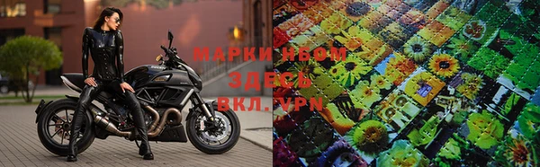 шишки Беломорск