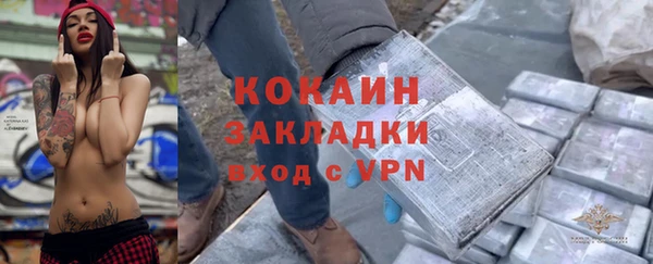 шишки Беломорск