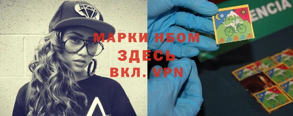 шишки Беломорск
