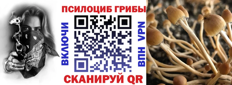 Псилоцибиновые грибы ЛСД  Светогорск 