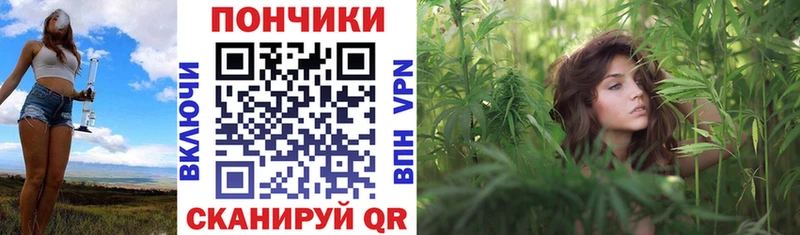 как найти наркотики  Светогорск  ссылка на мегу рабочий сайт  Марихуана ГИДРОПОН 